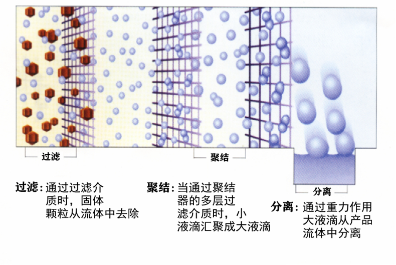 QQ圖片20201218085427_副本